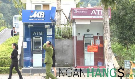 Ảnh Cây ATM ngân hàng Nông nghiệp Agribank Công ty TNHH Latitude Tree Việt Nam 1