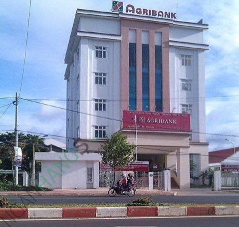Ảnh Ngân hàng Nông nghiệp Agribank Phòng giao dịch Ninh Phong 1