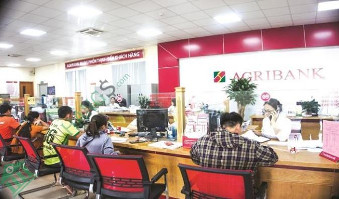 Ảnh Ngân hàng Nông nghiệp Agribank Chi nhánh Tp Hồ Chí Minh 1