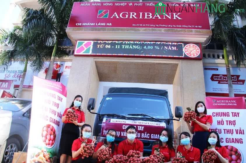 Ảnh Ngân hàng Nông nghiệp Agribank Chi nhánh Láng Hạ 1